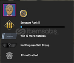 PREMİER HAZIR 1 MADALYA | 284 SAAT | TR HESAP |