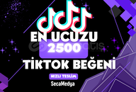 [PREMİUM] 2.5K TİKTOK BEĞENİ