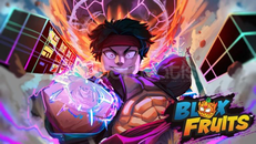 PREMIUM BLOX FRUIT ACCOUNT