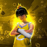 Premium pubg random hesap