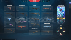 PREMİUM VALORANT ÇAR BÜTÇELİK FENASALLL.