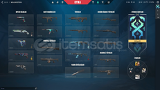 PREMİUM VALORANT ÇAR BÜTÇELİK FENASALLL. 2