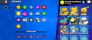 Prestijli esfane hesap