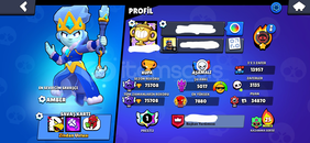 Prestijli Meteor Hesap