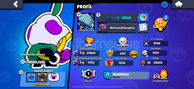 Prestijli özel hesap Prestijli özel hesap