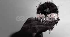 ⚡️Primary⚡️The Walking Dead Definitive E. Ps4&5