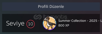 PRİME AÇIK STEAM 10 LEVEL 1300 SAATLİ CS HESABI