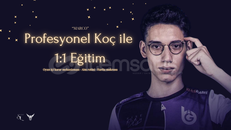 PROFESYONEL KOÇ İLE 1:1 EĞİTİM