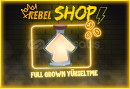 ⭐️ Profesyonel Pet Yükseltme – Güvenilir & Hızlı