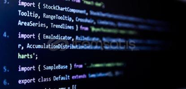 Profesyonel Yazılım Hizmetleri