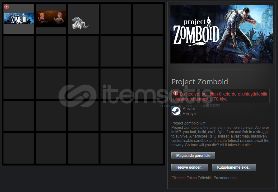 Project Zomboid Gift