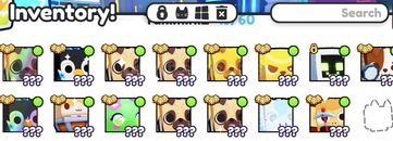 ⭐️Ps99 10 Rastgele Huge/En Az 55 Level⭐️