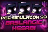 Ps99 200k gems silver başlangıç paket