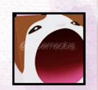 Ps99 Huge Pop Cat (En ucuzu)