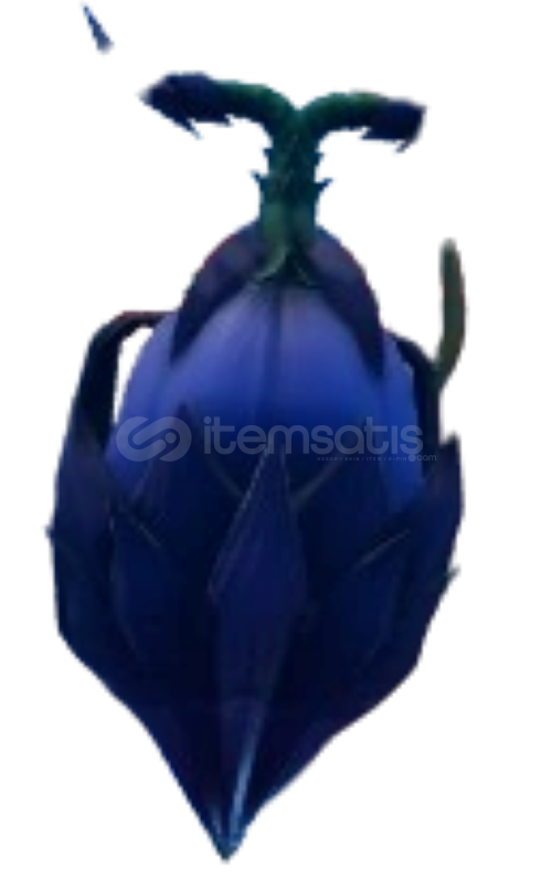 Pteranodon Fruit | GPO | Pteranodon Fruit | GPO |
