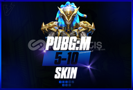 PUBG 5-10 SKİN RANDOM HESAP