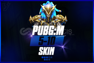 PUBG 5-10 SKİN RANDOM HESAP