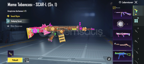 Pubg hesap 63 koleksiyon seviyesi Pubg hesap 63 koleksiyon seviyesi