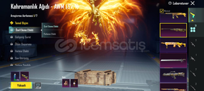 PUBG MAİNLİK HESAP 