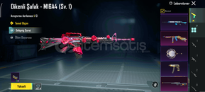 Pubg mobil hesabı nadir