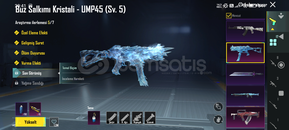 Pubg Mobile Full+Full Hesap 