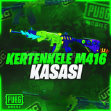 ⭐PUBG MOBİLE KERTENKELE M416 RANDOM HESAP⭐