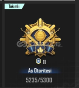 Pubg Mobile Rank Boost (OTORİTE)