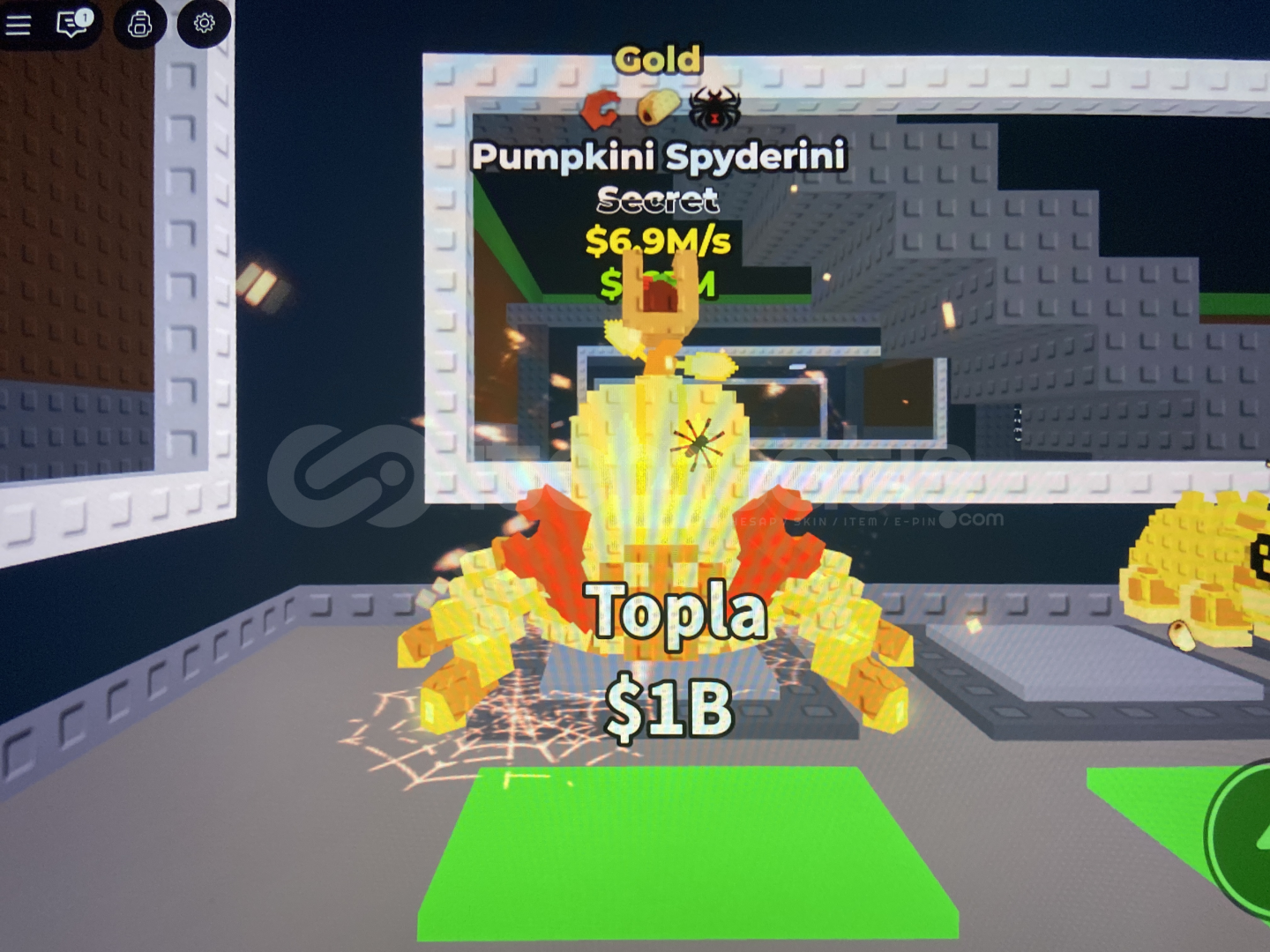Pumpkini Spyderini