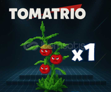 PVB 1 ADET 166K DAMAGE 83K DPS TOMATRİO 