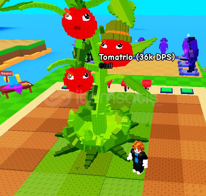 PvB 36K Dps Tomatrio PvB 36K Dps Tomatrio