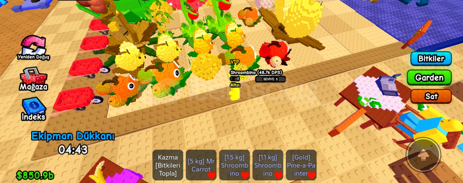 Pvb 48.7k shroombıno gold Pvb 48.7k shroombıno gold