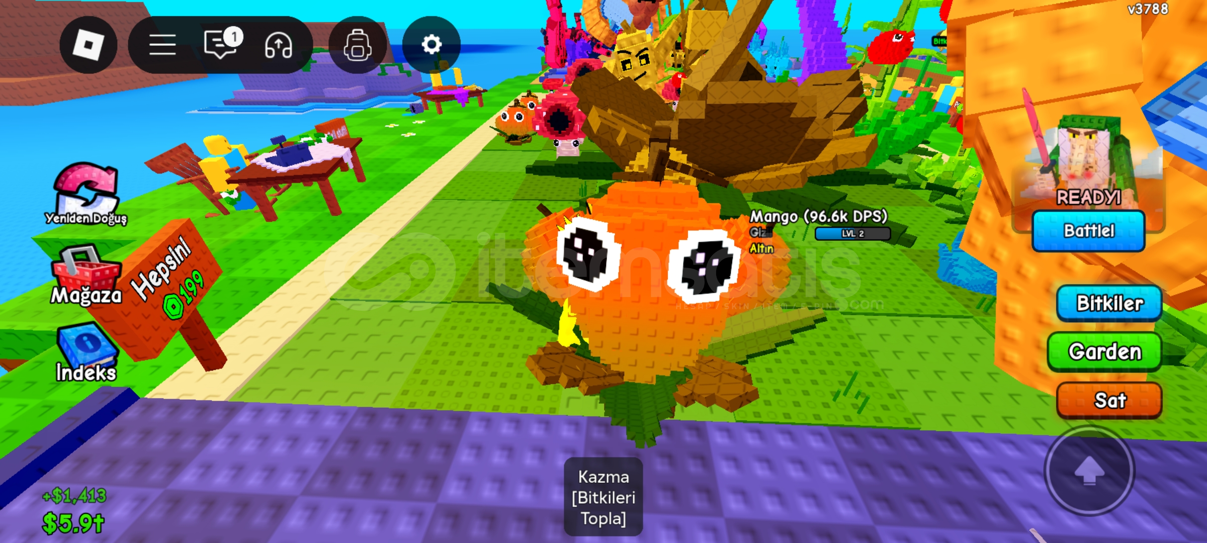 Pvb gold huge mango Pvb gold huge mango