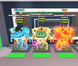 Quesadilla Crocodila Paketi 4