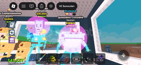 Quesedila Quedila Quesedila Quedila