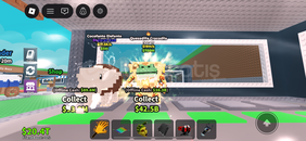 QUESEDİLLA CROCODİLLA 18M/S