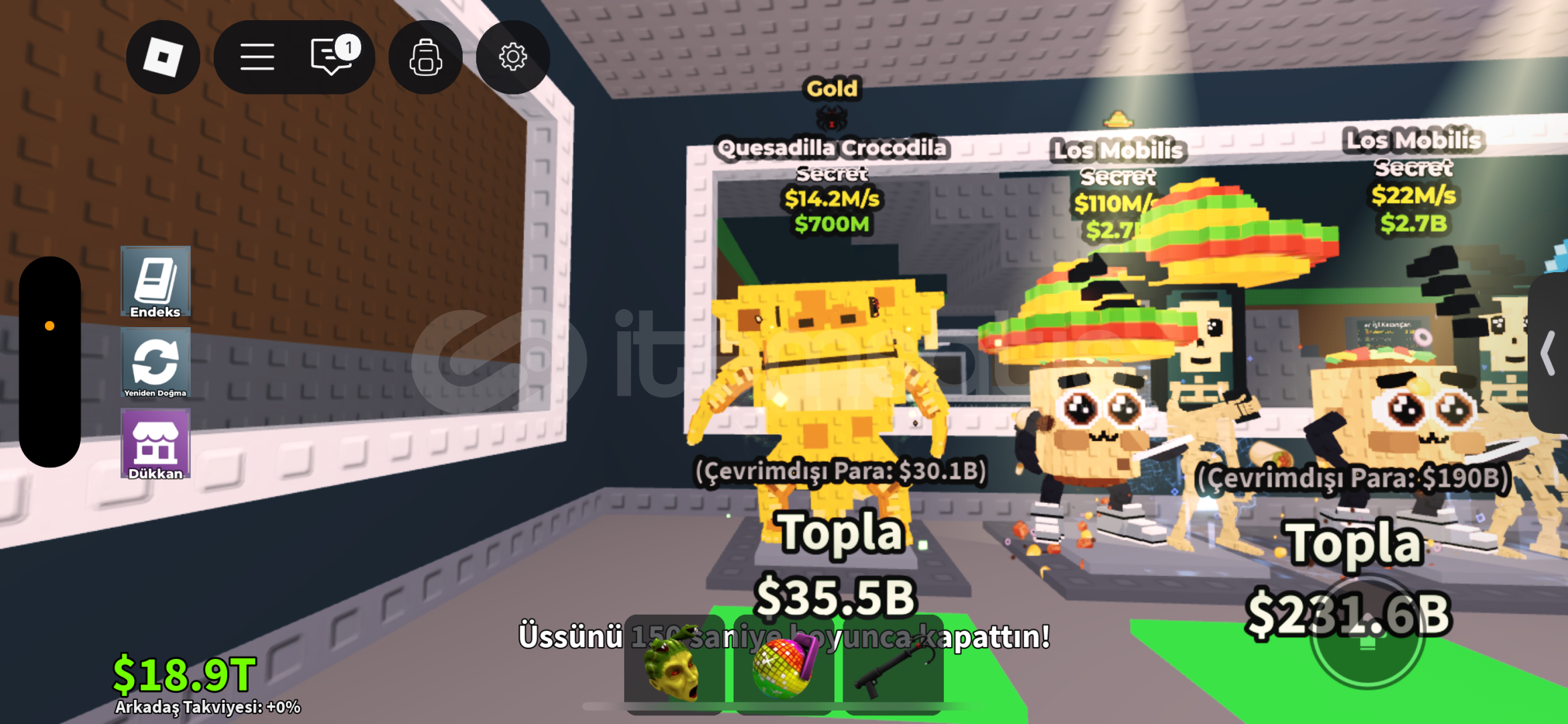 Quesidila crocodilo Gold örümcek Sab Quesidila crocodilo Gold örümcek Sab