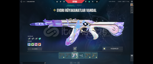 Evori Vandal + Karaborsa Kelebek