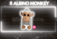 R Albino Monkey En Ucuzu