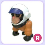 R Astranout Gorilla En Ucuzu
