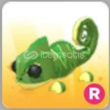R Chameleon En Ucuzu