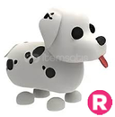 R Dalmatian