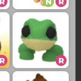 R Frogg