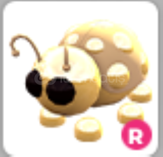 r golden ladybug r golden ladybug