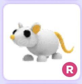 R Golden Rat En Ucuzu