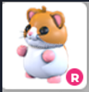 R Hamster en ucuz