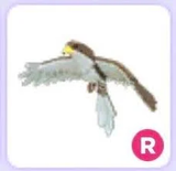 R Hawk En Ucuzu