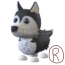 R Husky
