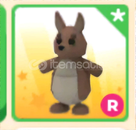 R Kangaroo ⭐ Adopt Me