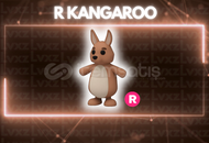 R Kangaroo En Ucuzu