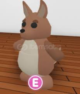 R KANGROO